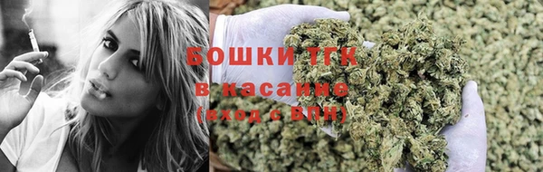 хмурый Ладушкин